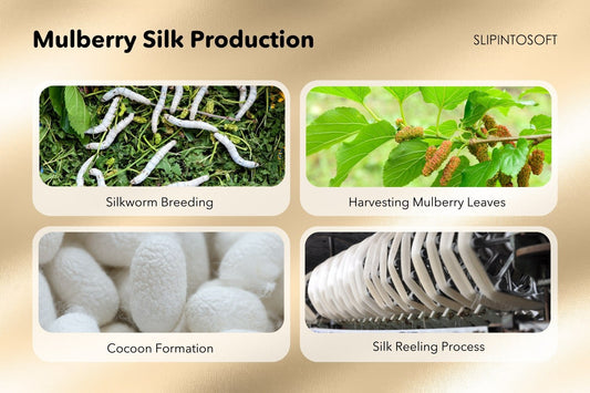 What is Mulberry Silk? | Made From, Benefits, and Quality Insights - slipintosoft